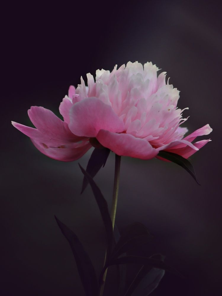 Photograph by Кирилл Фролов
