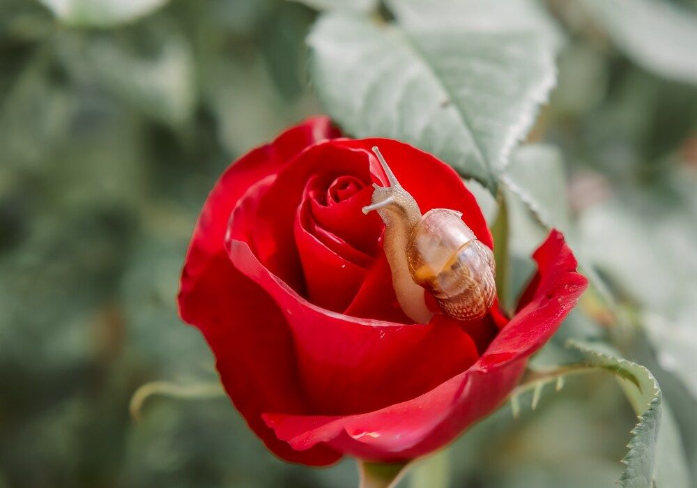 Photograph by Марина Суздаль