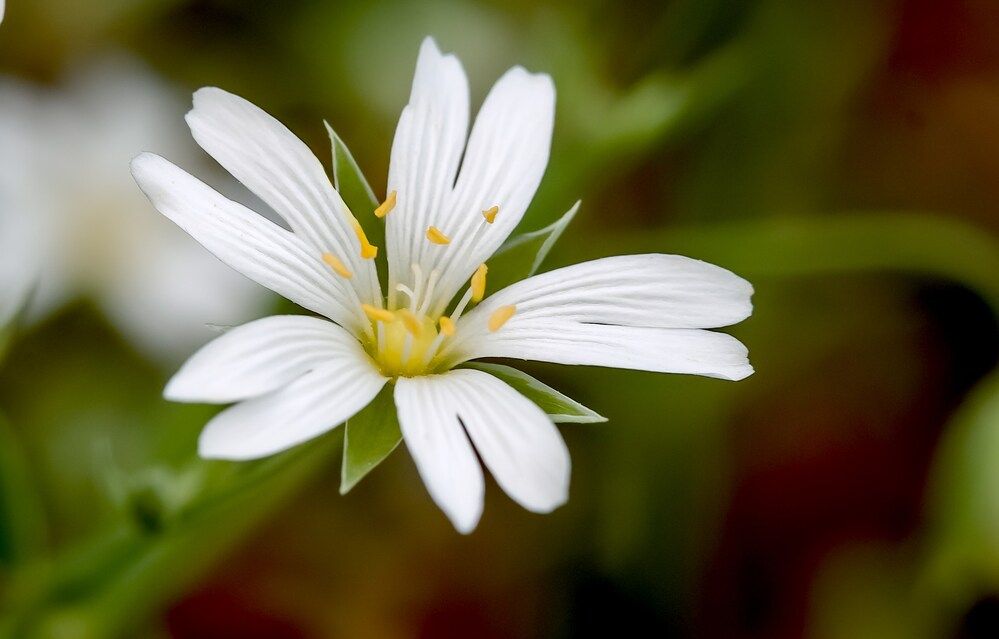 Photograph by Марина Суздаль