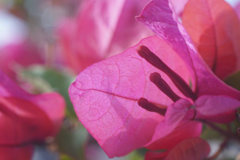 Photograph by mansour Hamdaoui