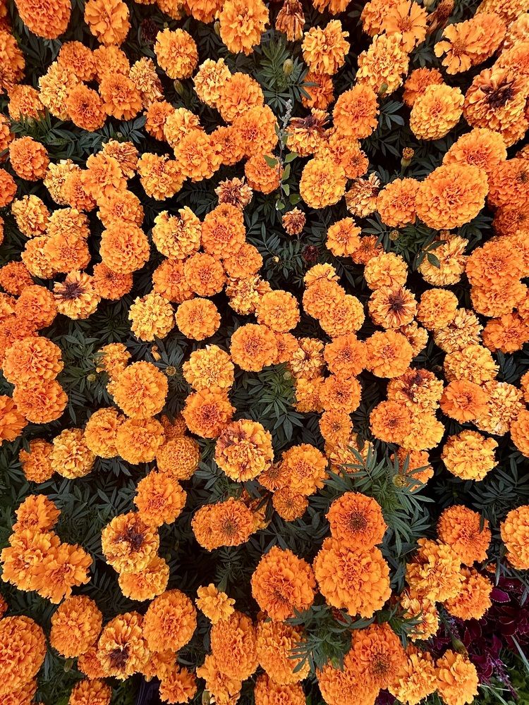 Photograph by Екатерина Уткина