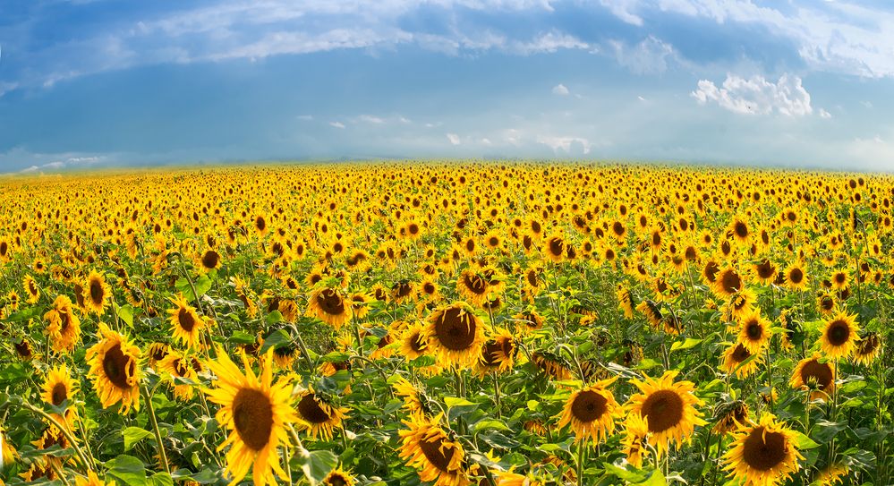 Photograph by Александр Трошин