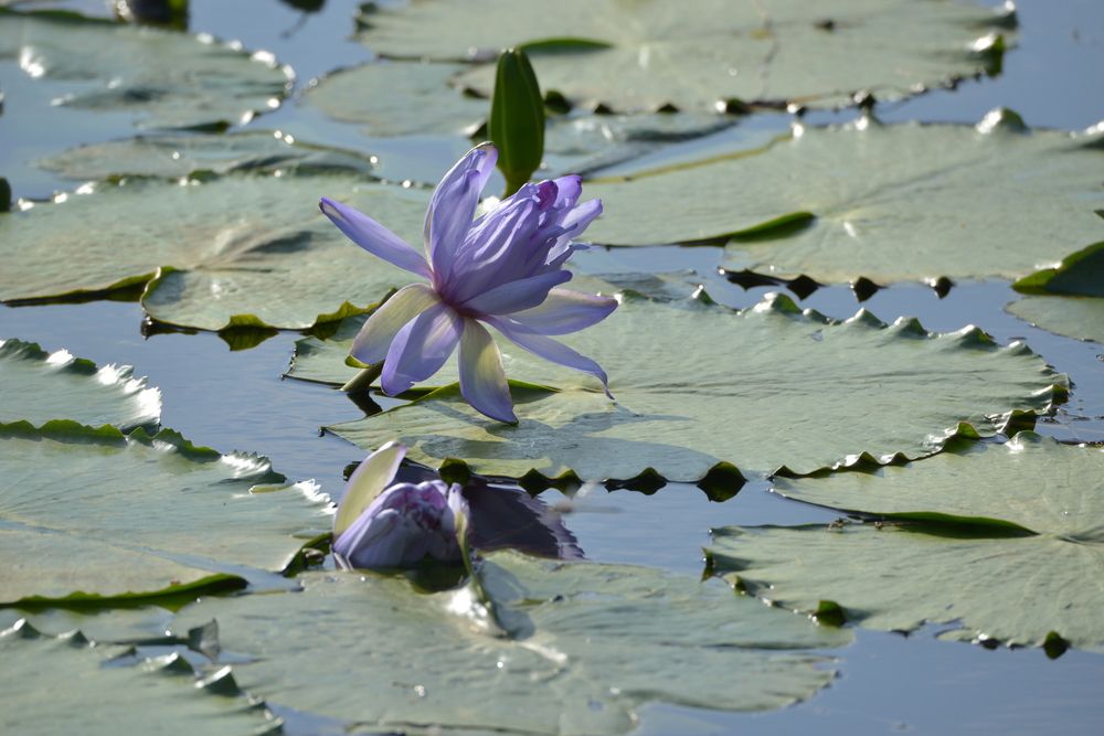 Photograph by Игорь Двойных