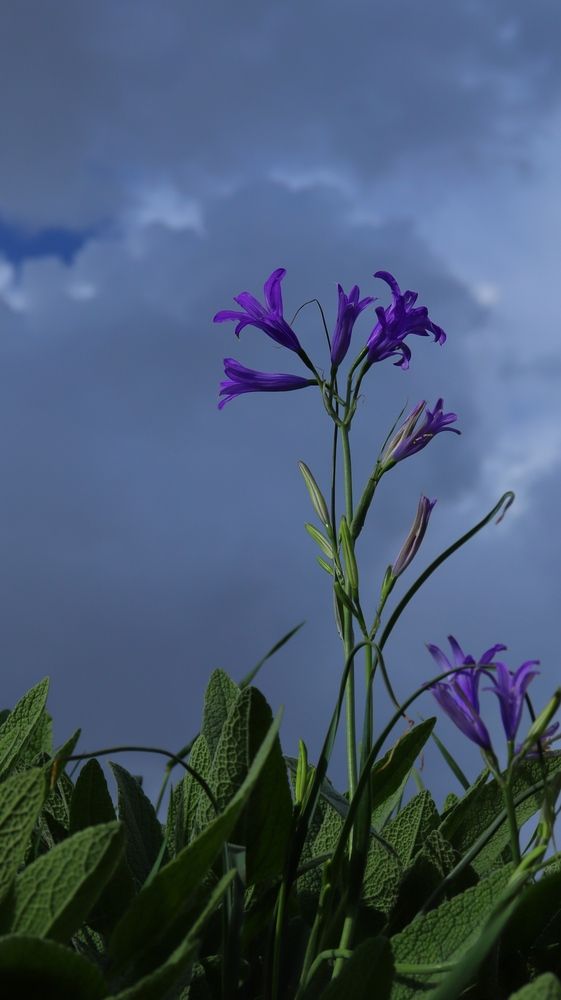 Photograph by Amir Hosein Shokrabadi