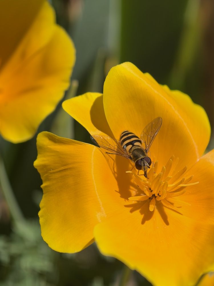 Photograph by Людмила Орловская