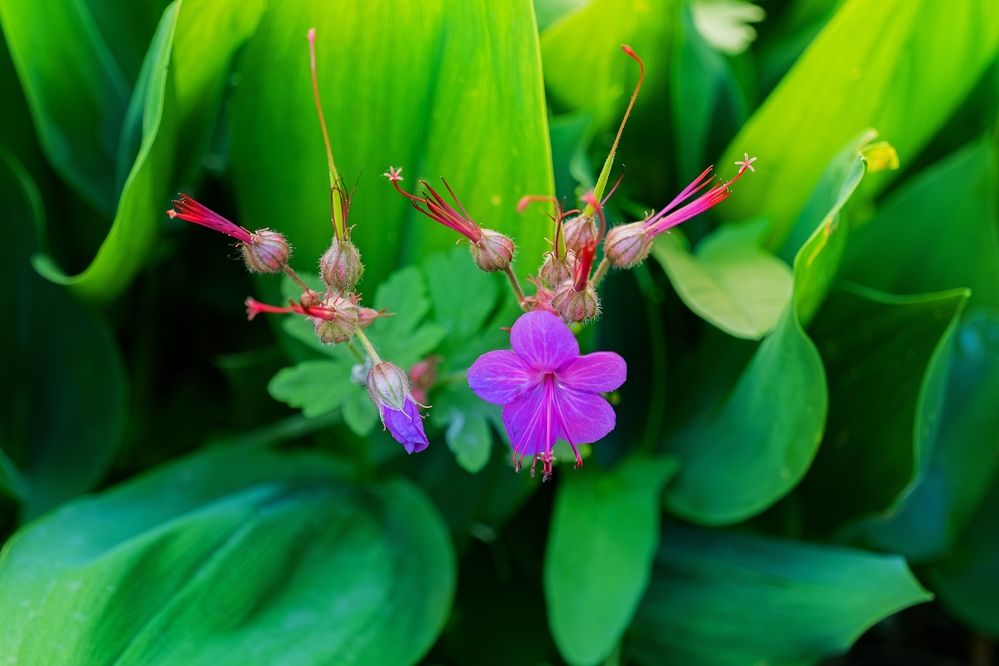 Photograph by Михаил Косолапов