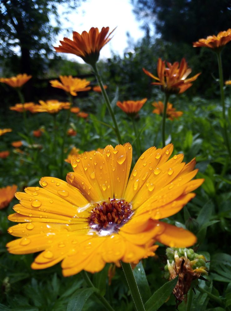 Photograph by Наталья Волобуева