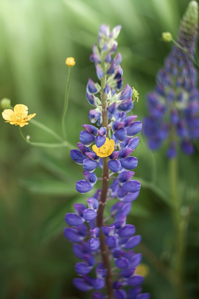 Photograph by Наталья Островцева