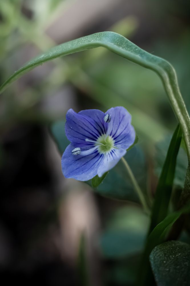 Photograph by Наталья Островцева