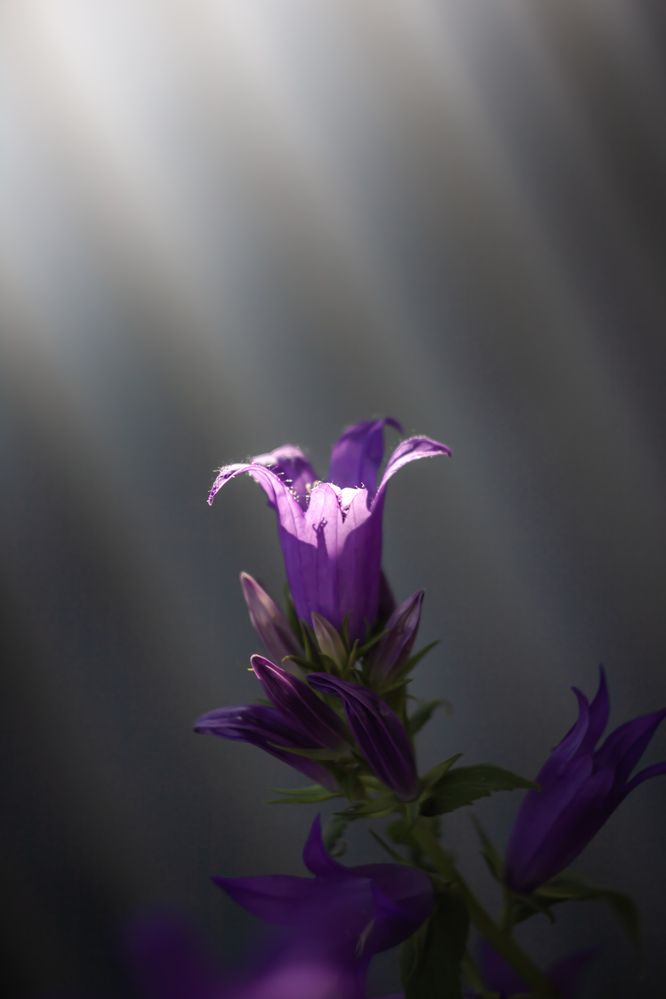 Photograph by Наталья Островцева