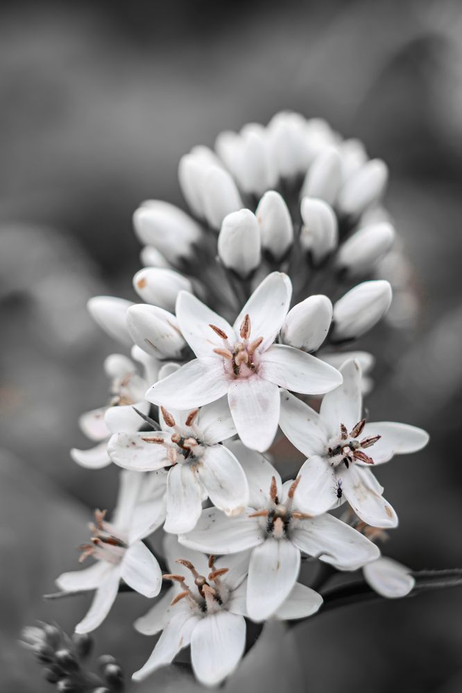 Photograph by Наталья Островцева