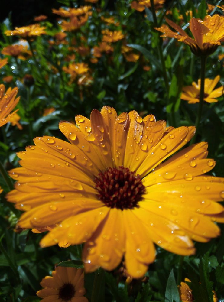 Photograph by Наталья Волобуева