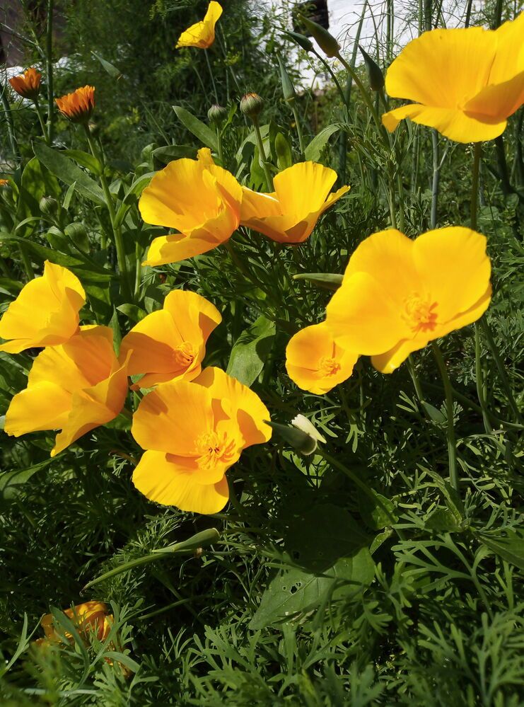 Photograph by Наталья Волобуева