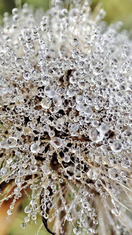 Photograph by Дина Желанова