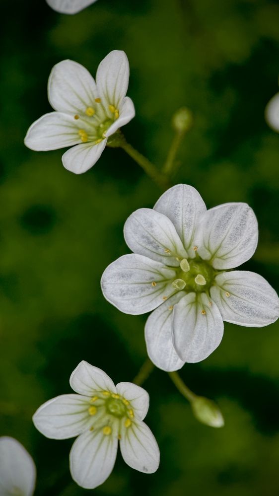 Photograph by Oxana Petlina