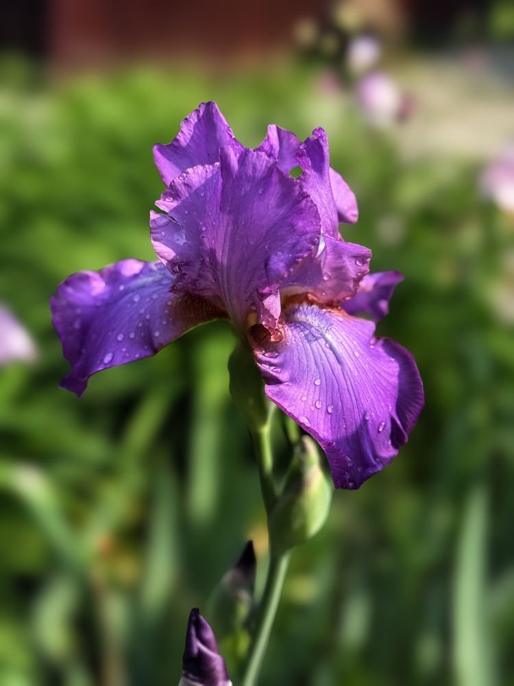 Photograph by Елена Чулюнина