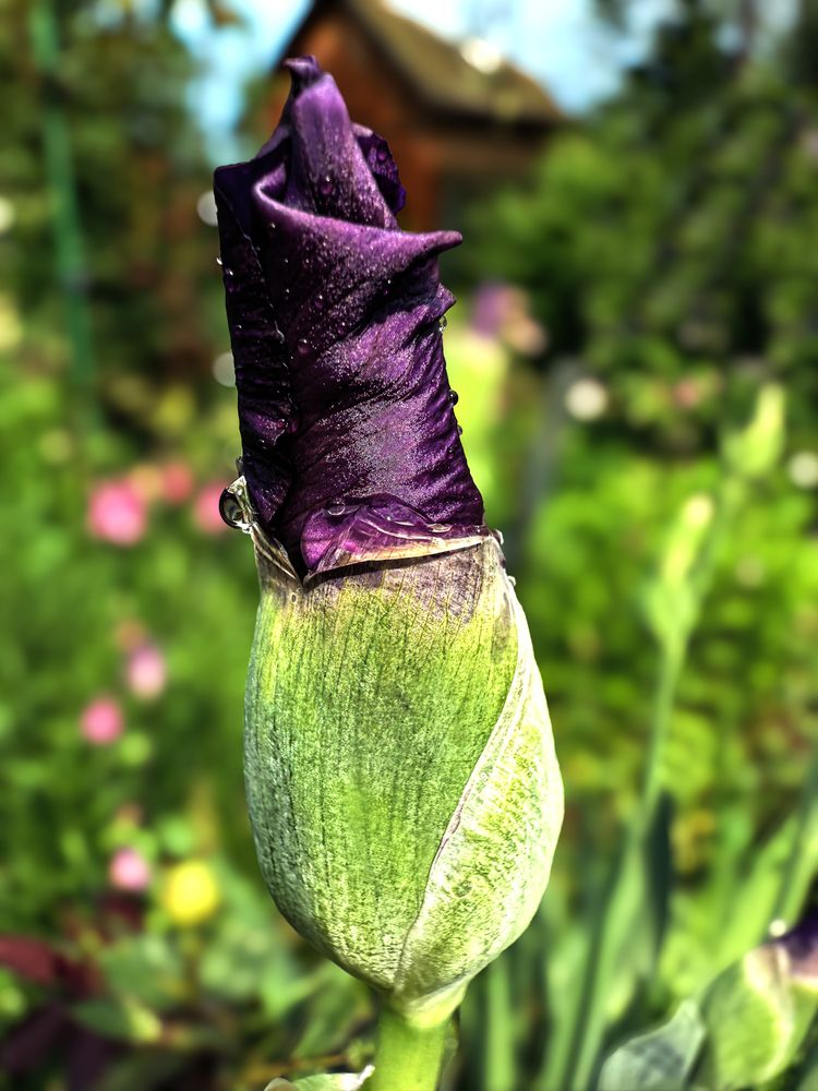 Photograph by Елена Чулюнина