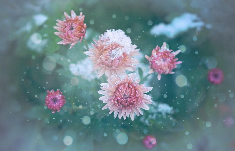 Фотография автора Е лена Е