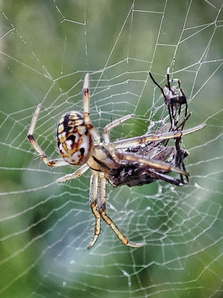 Photograph by Дина Желанова