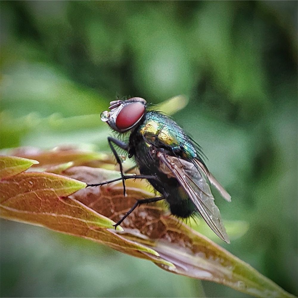 Photograph by Дина Желанова