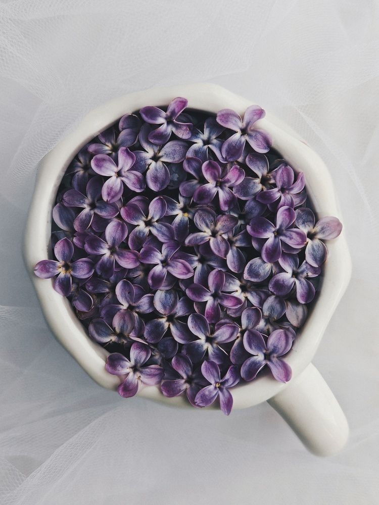 Photograph by Maria Stankevich