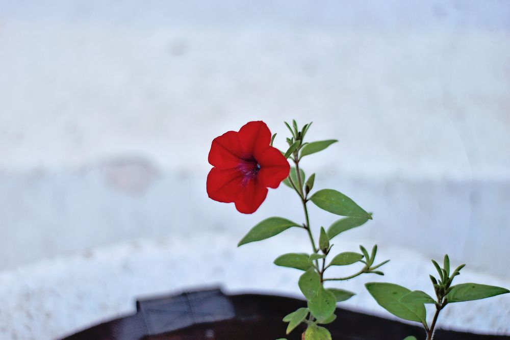 Photograph by Дарья Огородникова