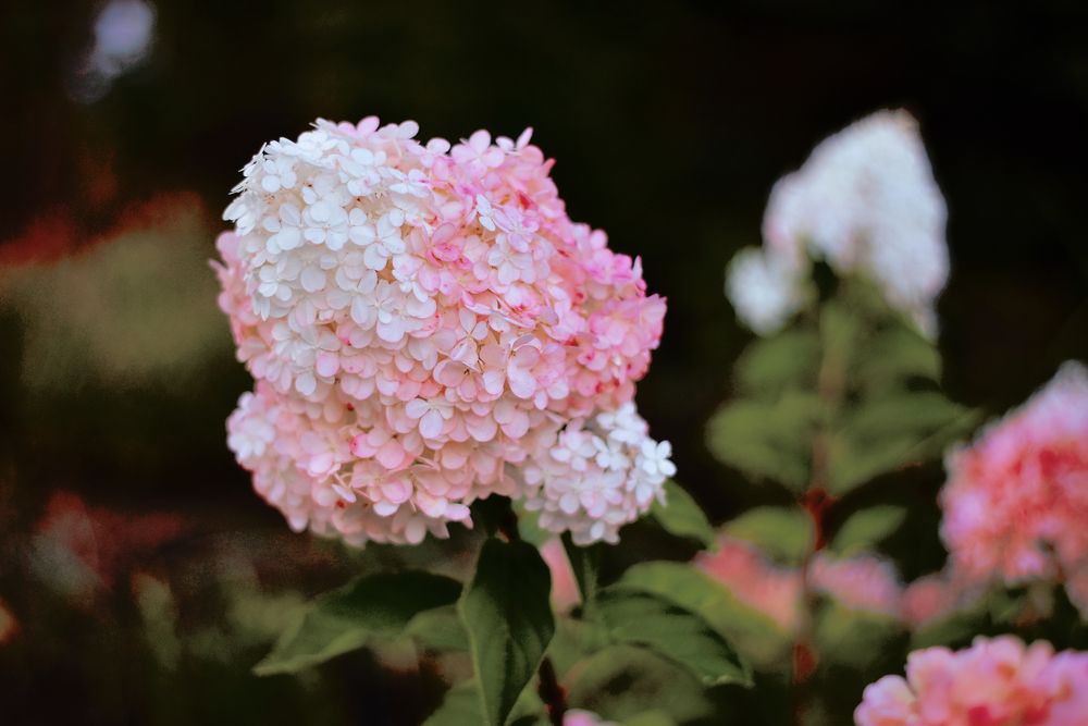 Photograph by Дарья Огородникова