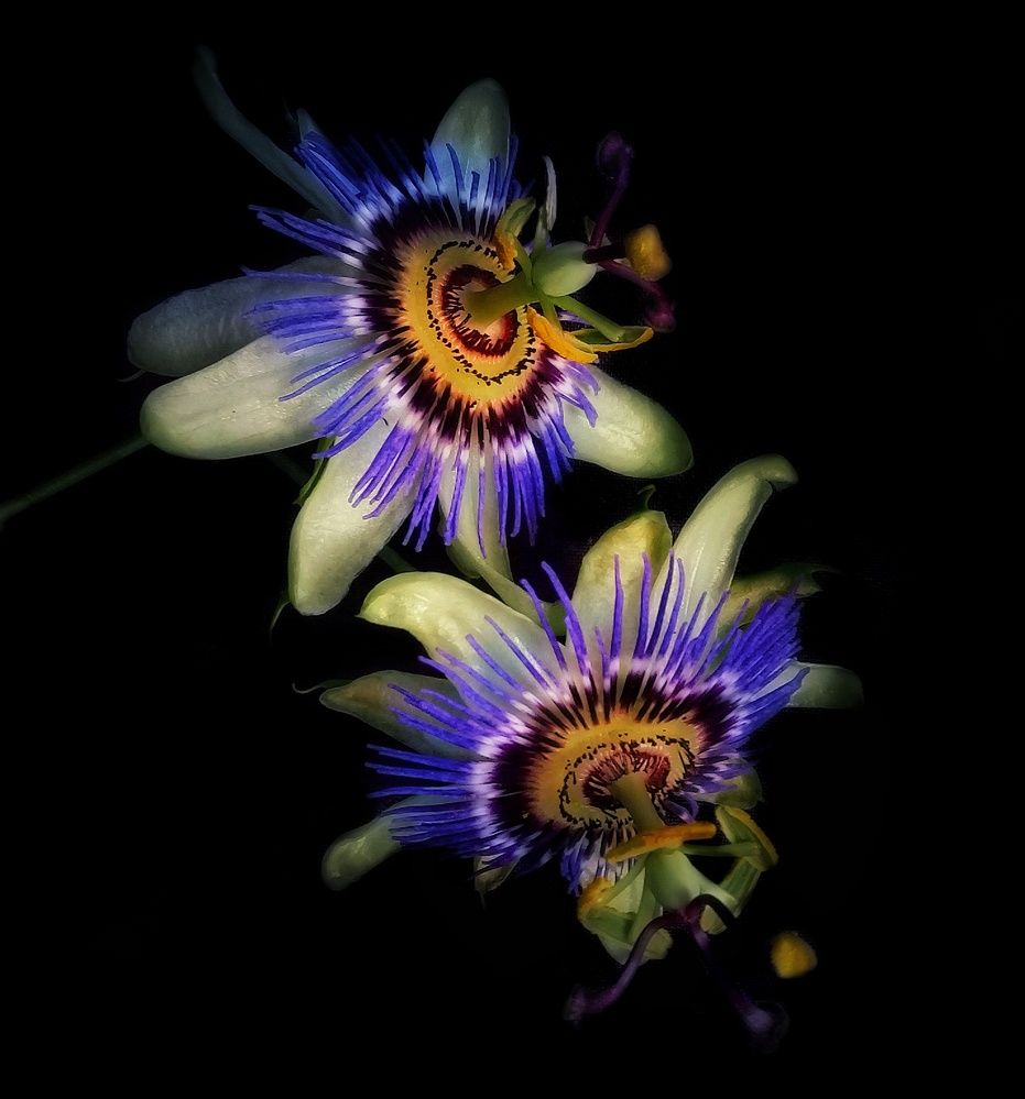 Photograph by Roberto Hagemann