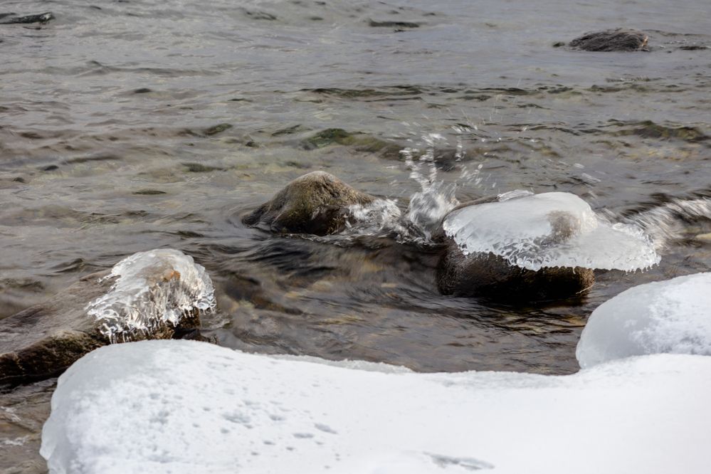 Photograph by Коптелов Виктор