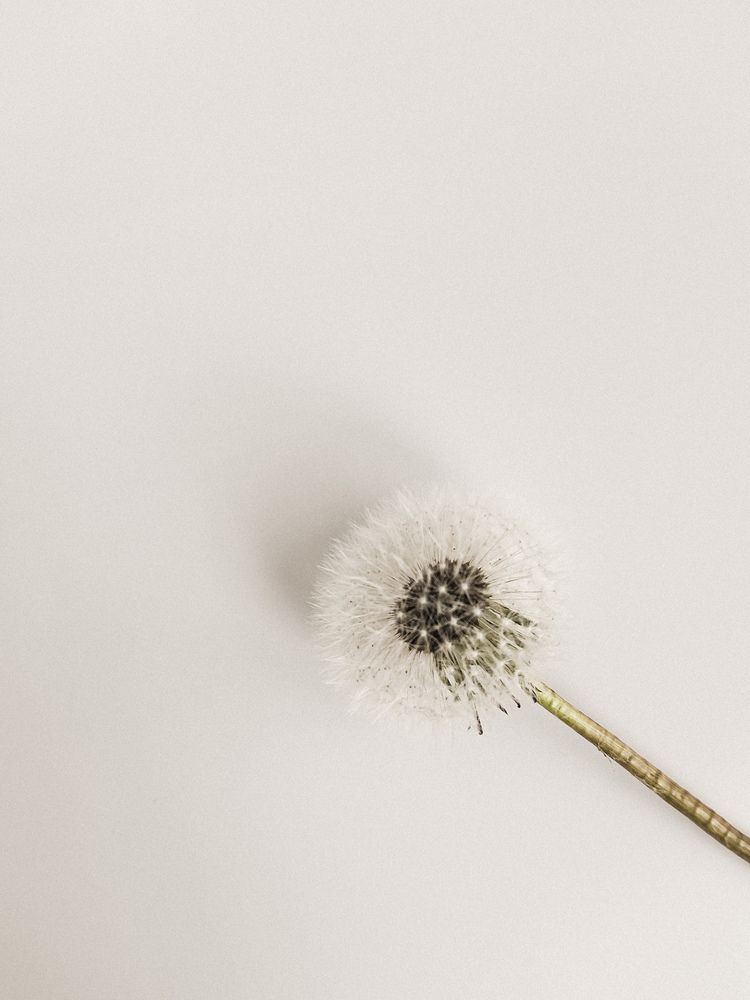 Photograph by Мария Ванина