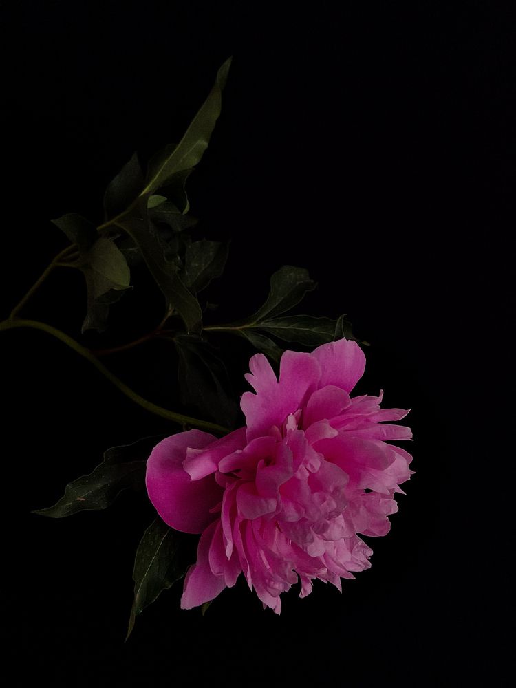 Photograph by Мария Ванина