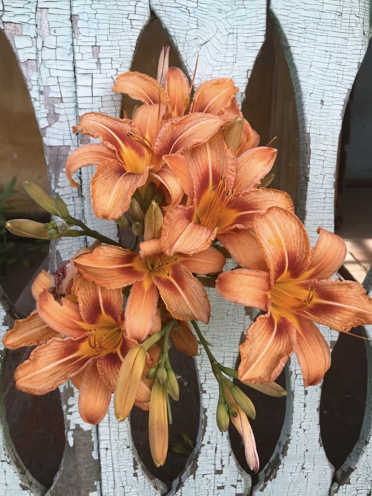 Photograph by Ирина Гаврилова