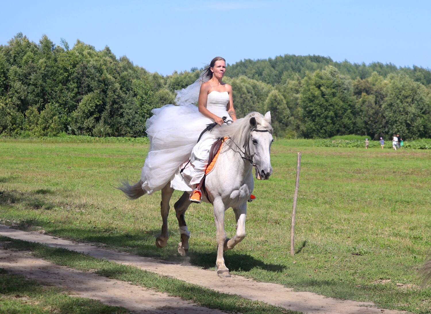 Фотография #12485146