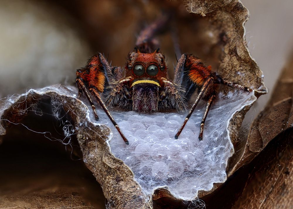 Photograph by Tinh Dang thanh