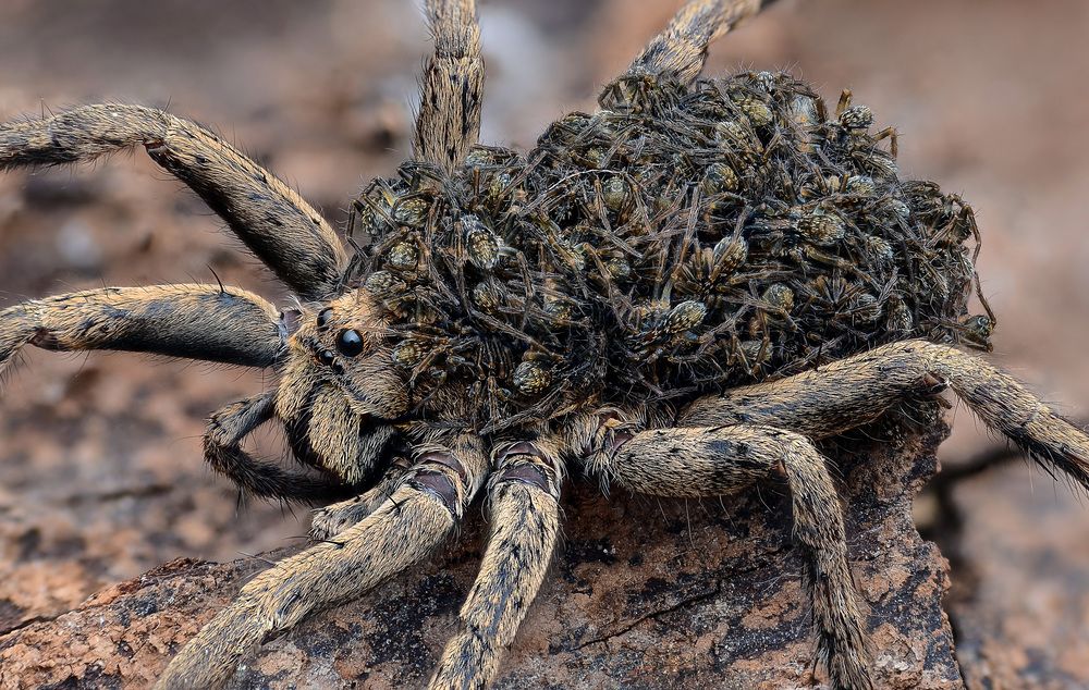 Photograph by Tinh Dang thanh