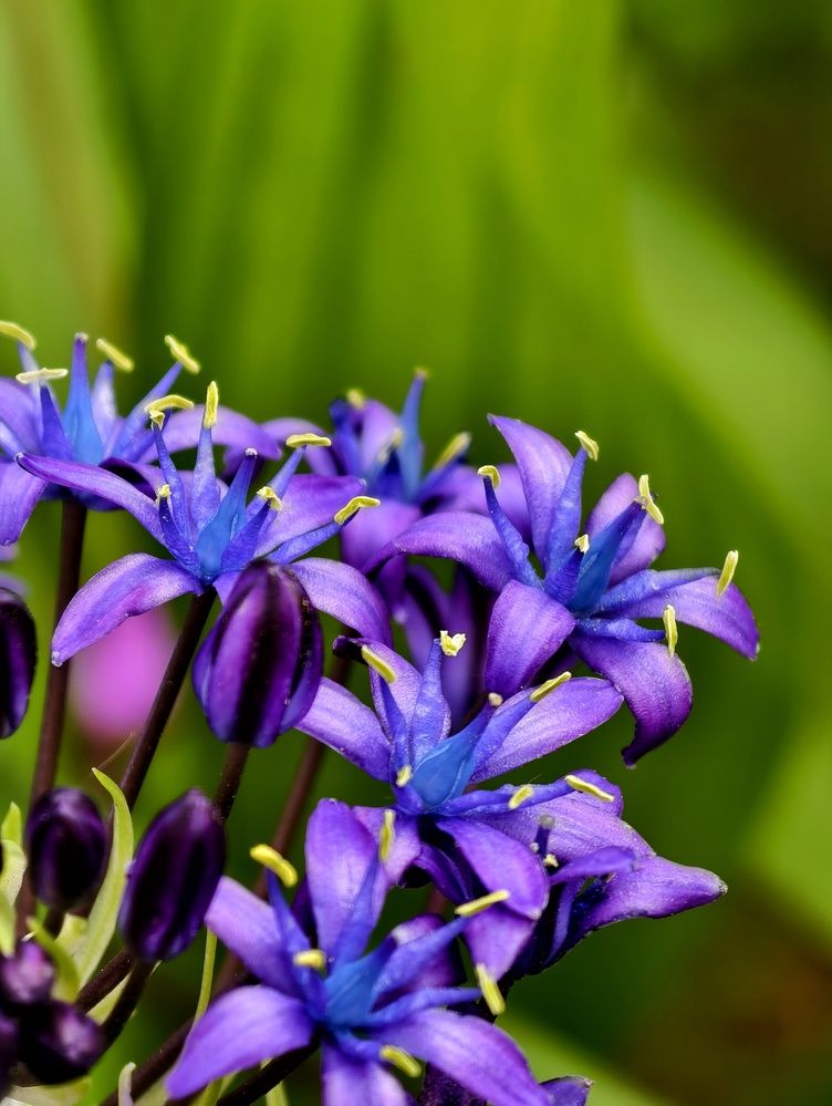 Фотография автора robot