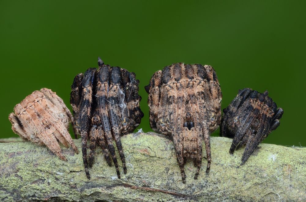 Photograph by Tinh Dang thanh