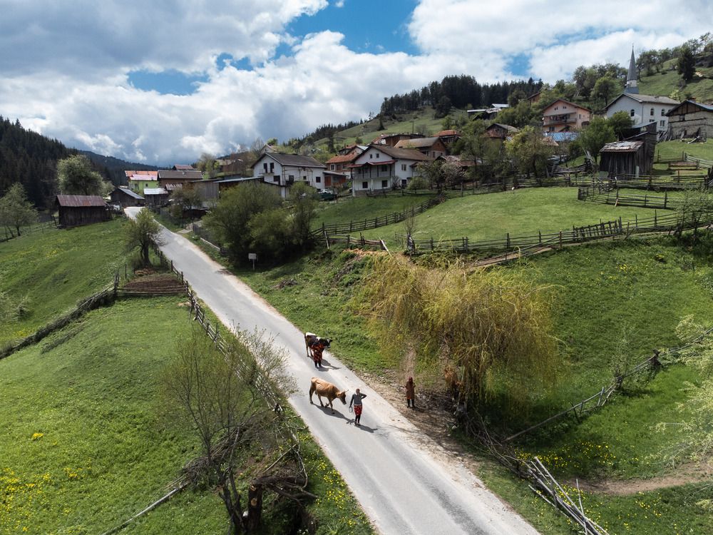 Фотография автора Lyuboslav Bochev