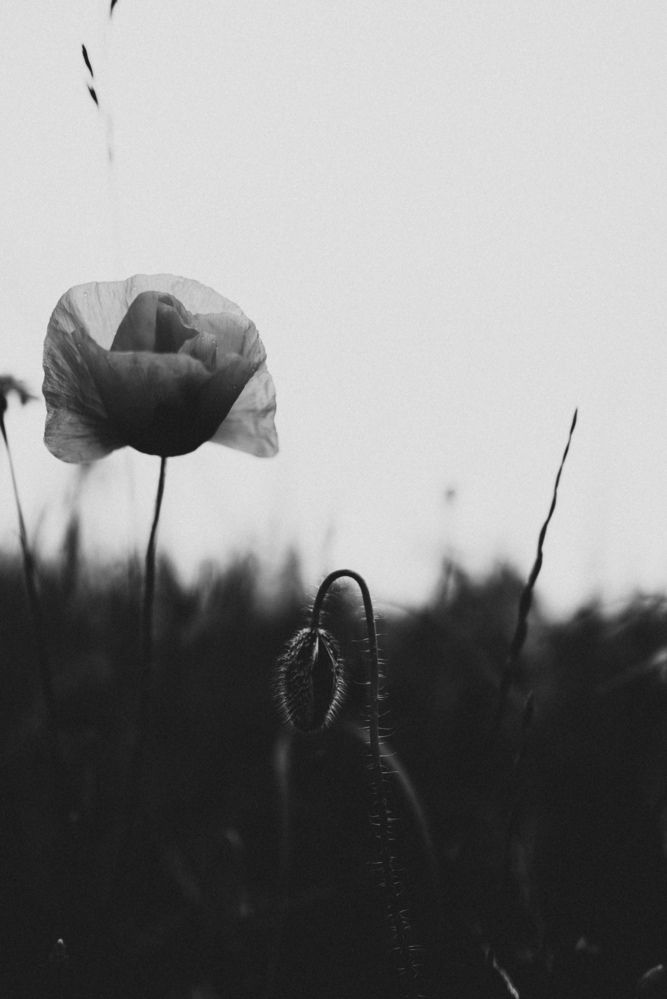 Photograph by Кристина Луканова