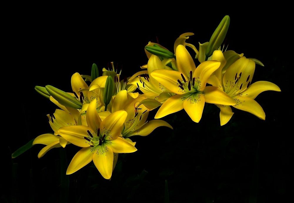 Фотография автора Роман Савоцкий