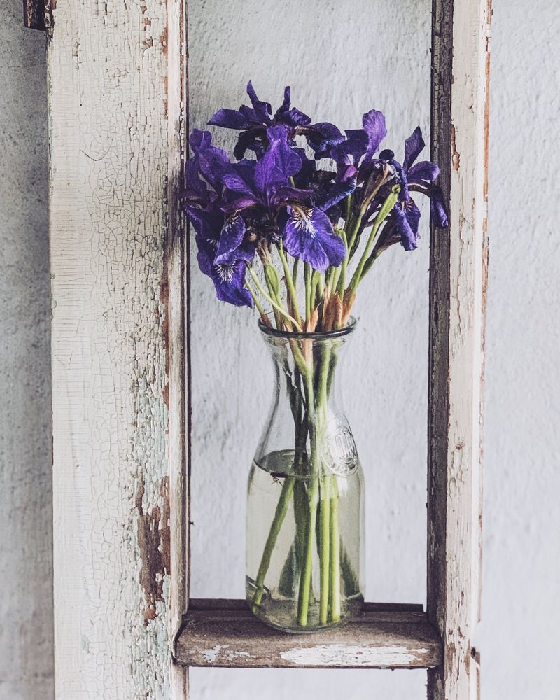 Photograph by Ирина Гаврилова