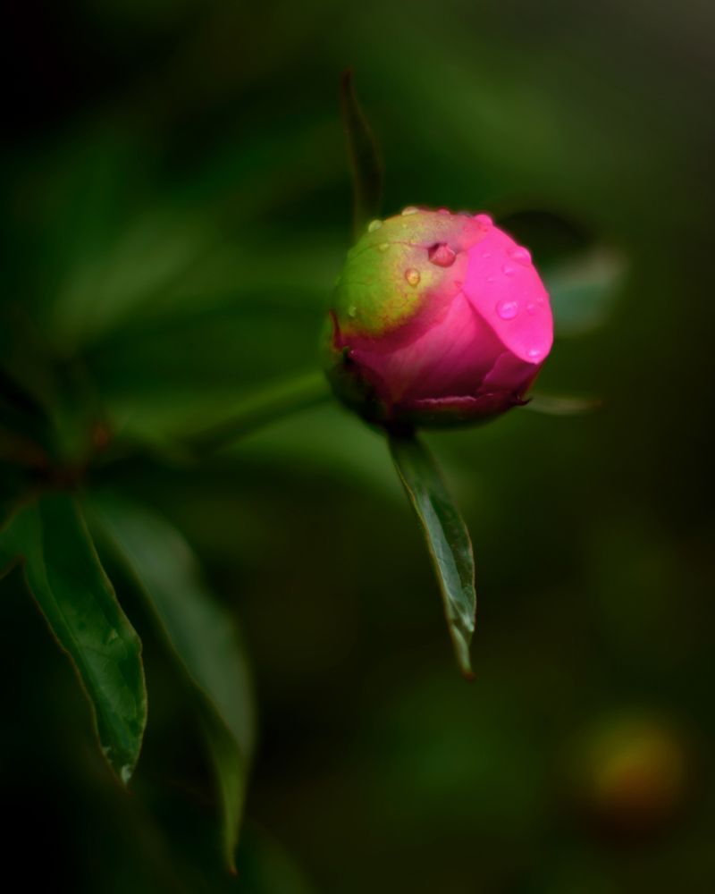 Photograph by Валерия Дорогова