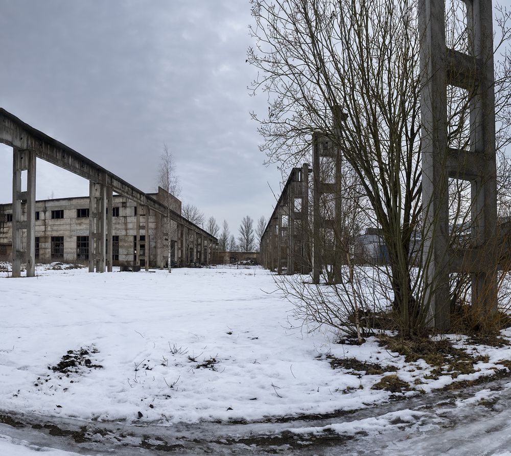 Фотография автора Eugenijus Rauduve