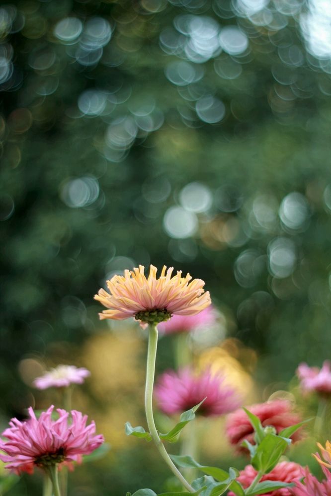 Photograph by Андрей