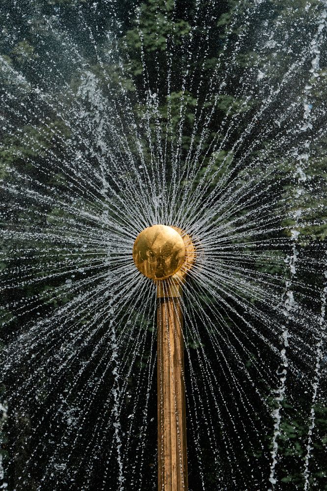 Photograph by Александр Лиманский