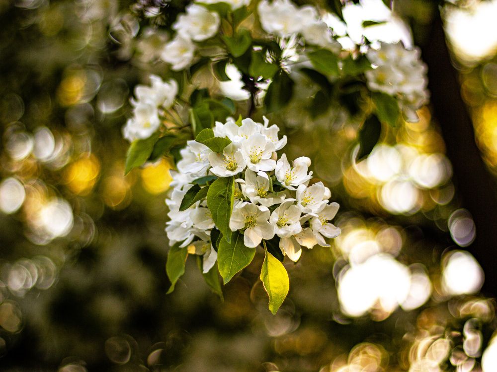 Photograph by Георгий Юркин