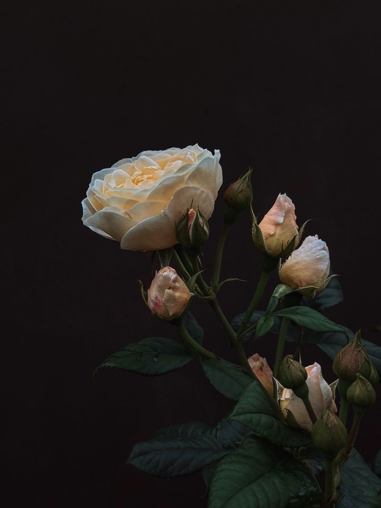 Photograph by Светлана Долганова