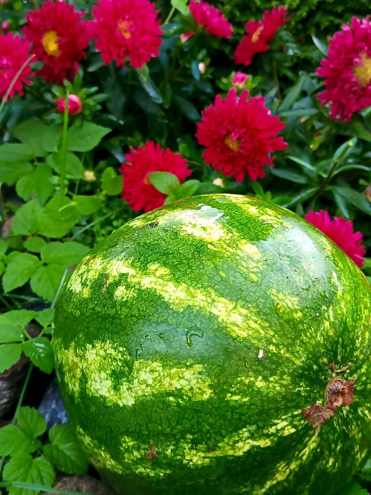 Photograph by Татьяна Бешенкина