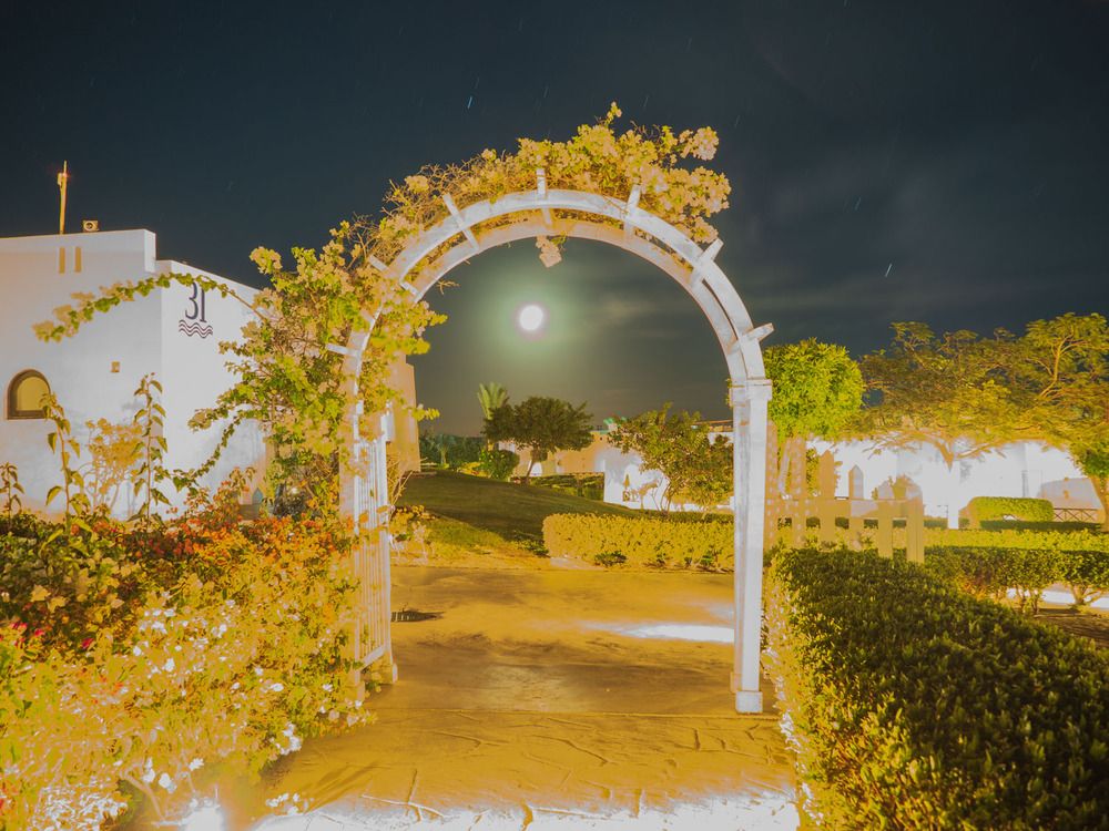 Photograph by Борис Полтавец