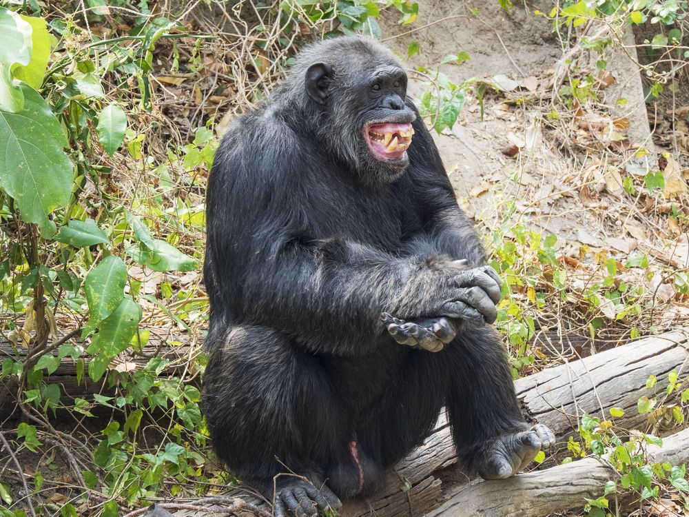 Photograph by Борис Полтавец